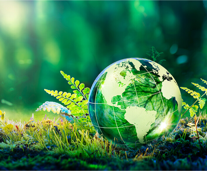 Green globe sitting in grass